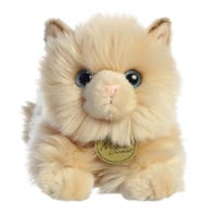 Persian Cat 8.5