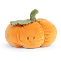 Baby Pumpkin
