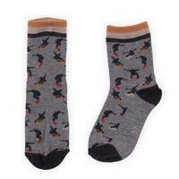 Born to Roll Socks 6-24m