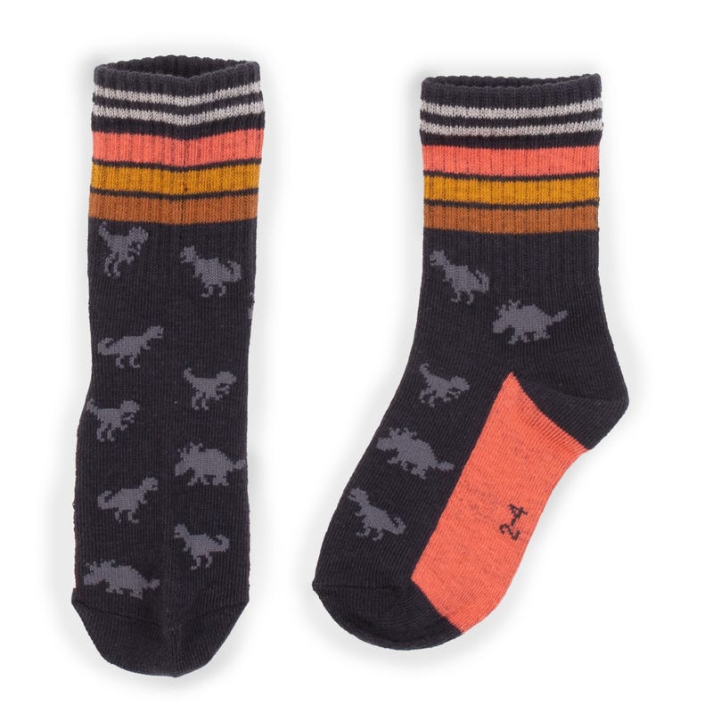 Dinosaurs Socks 9-24m