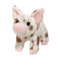 Cochon Brun Yogi 7
