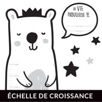 Échelle de Croissance - Ours Français