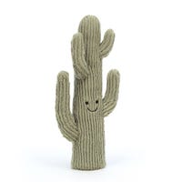 Amuseable Desert Cactus 13