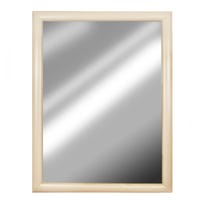 Mirror Dream