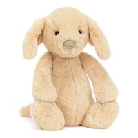 Bashful Luxe Puppy Orlando